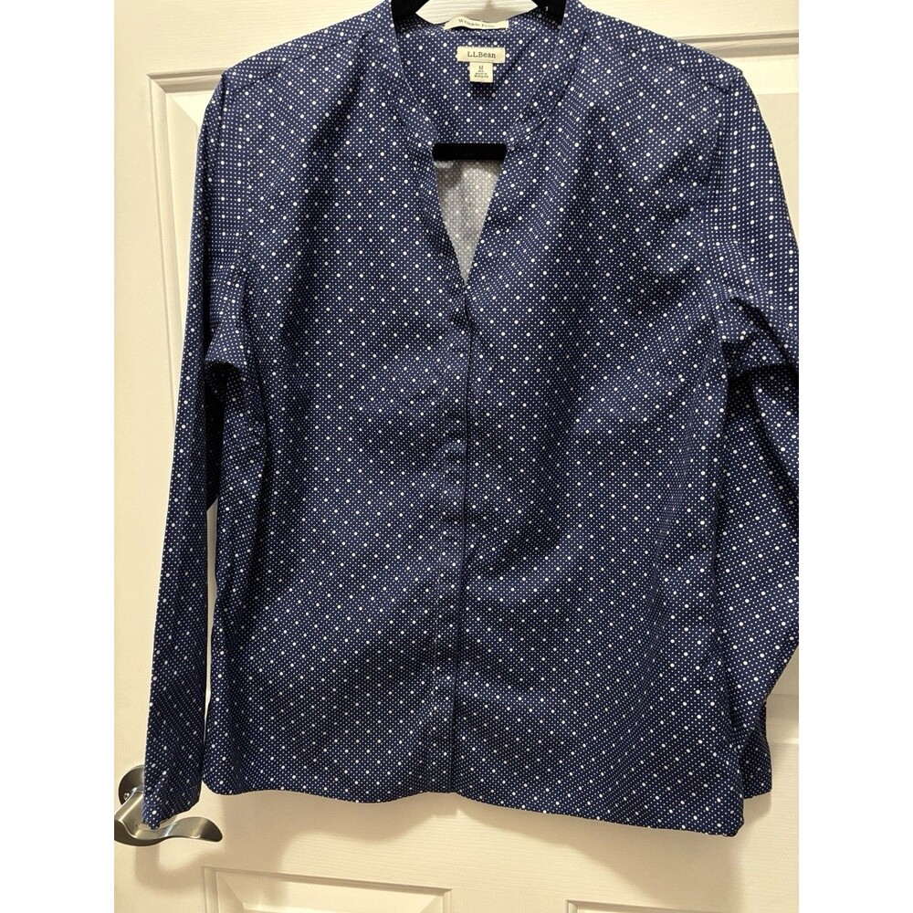 LL Bean Long Sleeve Blouse EUC Medium  Blue Wrinkle Resistant Resistant